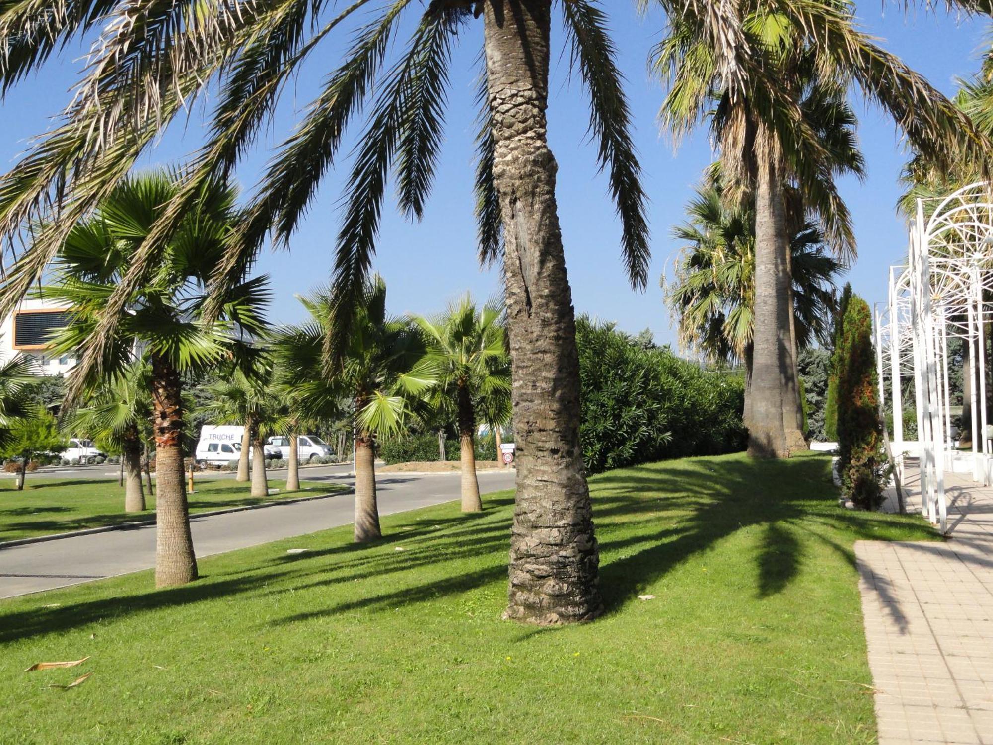 Cannes Terrace Beach Front & Sea View מראה חיצוני תמונה